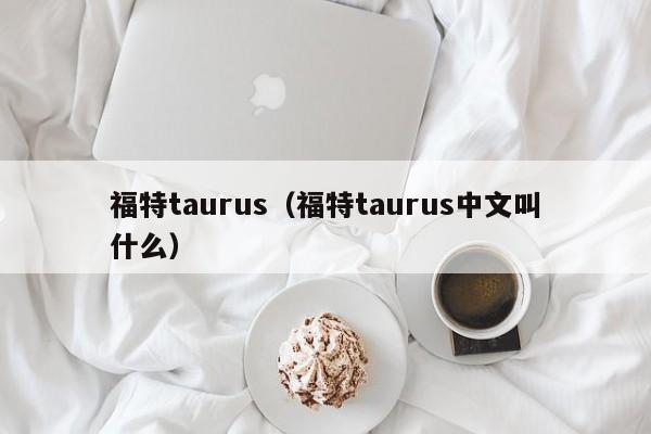 福特taurus（福特taurus中文叫什么）